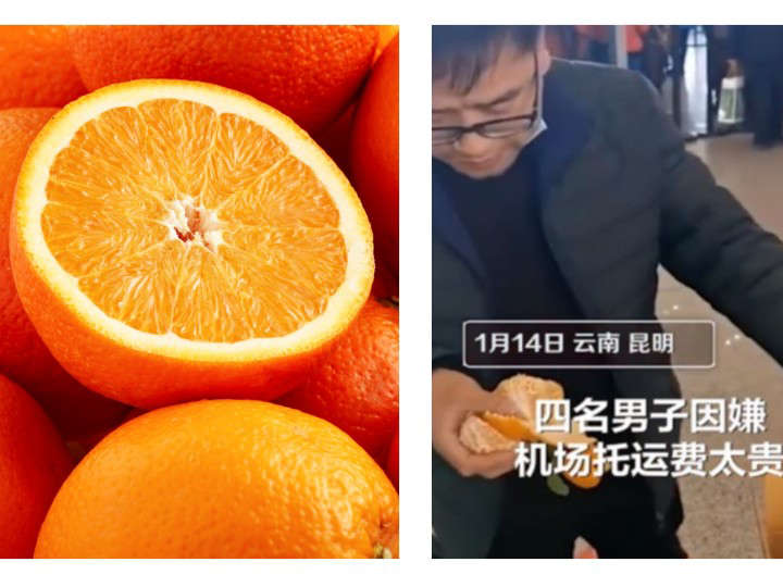 Turistas optan por comer 30 kilos de naranjas para evitar pagar exceso de equipaje en aeropuerto