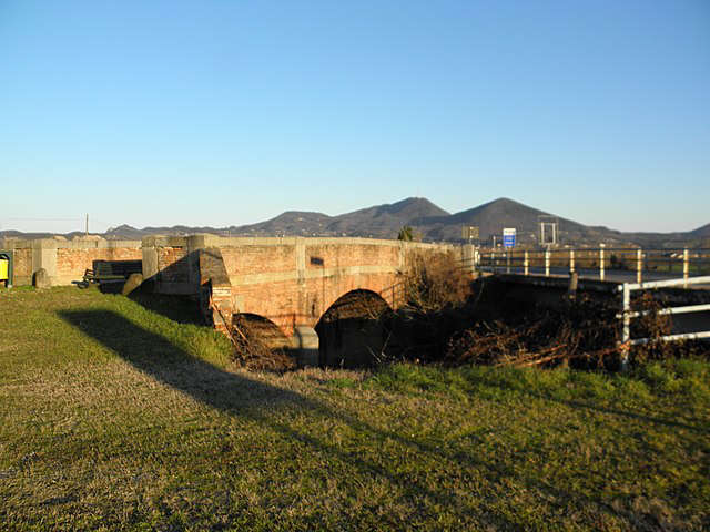 Podrían revelar el secreto de la inmunidad a COVID-19