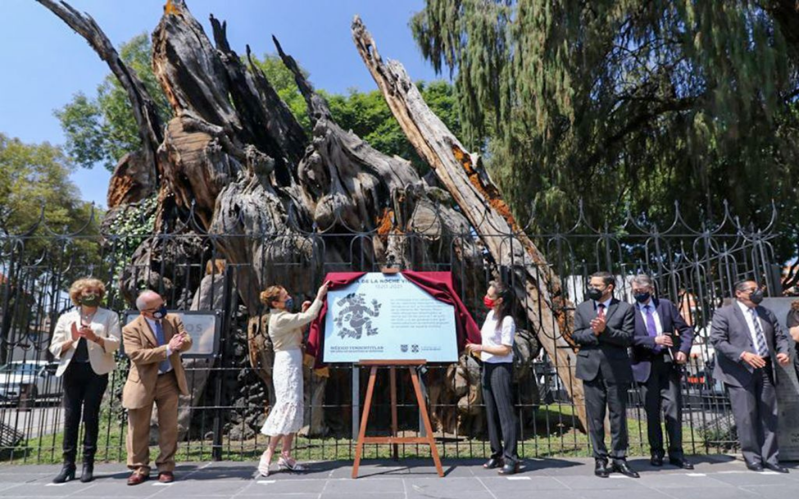 Renombran árbol de la ‘Noche Triste’ como la Plaza de la Noche Victoriosa