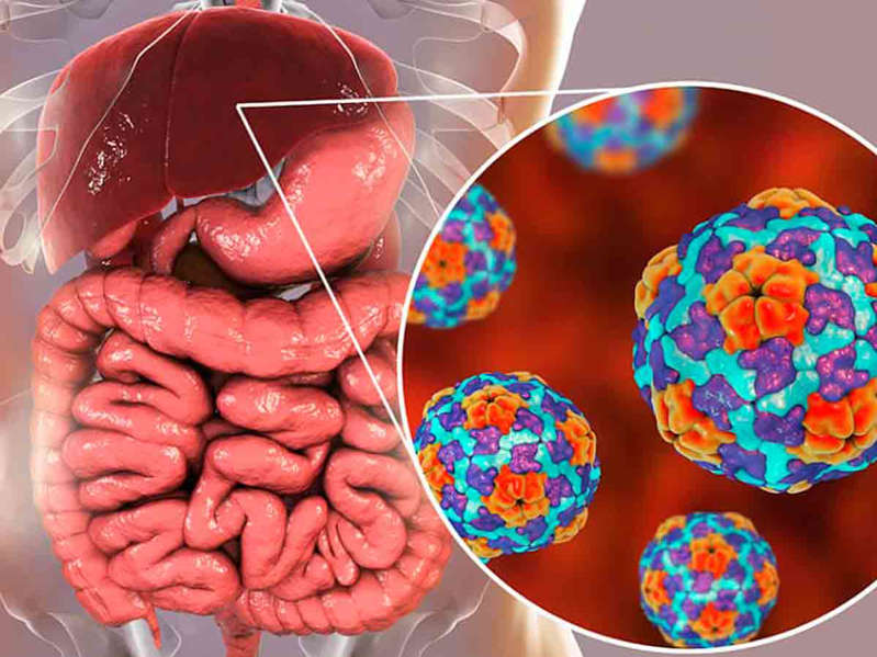 Cada minuto y medio muere una persona a causa de la hepatitis: IMSS