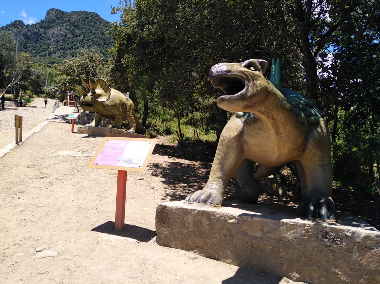 Se desconoce fecha de reapertura de Cuatlapanga Jurassic 