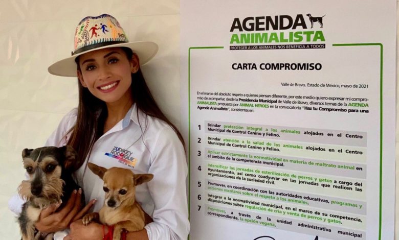 Zudikey Rodríguez denuncia que amenazas continúan tras elecciones