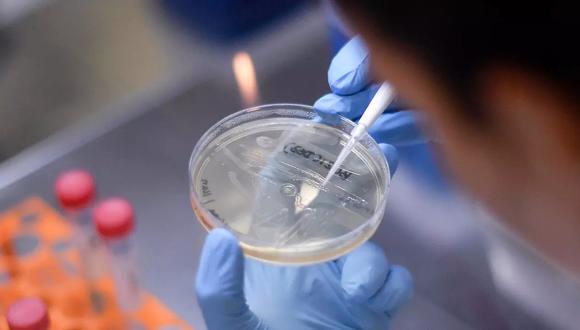 Variante Delta del covid se extiende por el mundo y será dominante: experta OMS