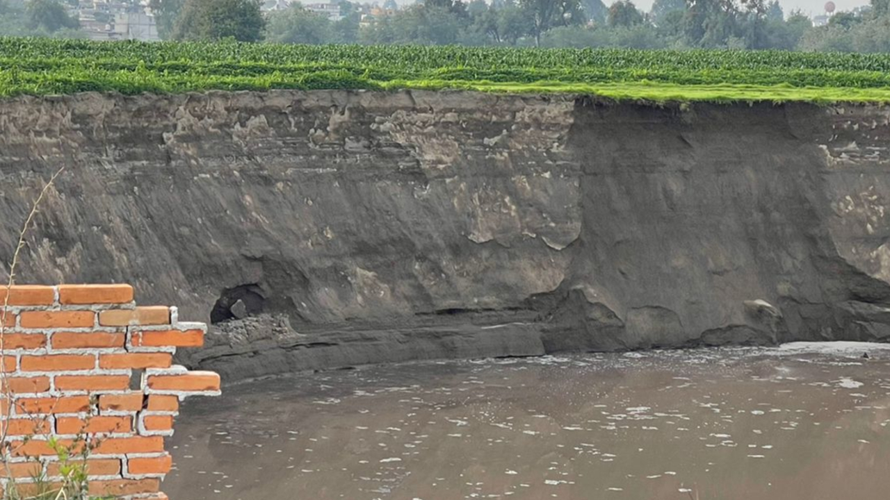 Un nuevo Perro habría sido víctima del Socavón de Juan C. Bonilla 
