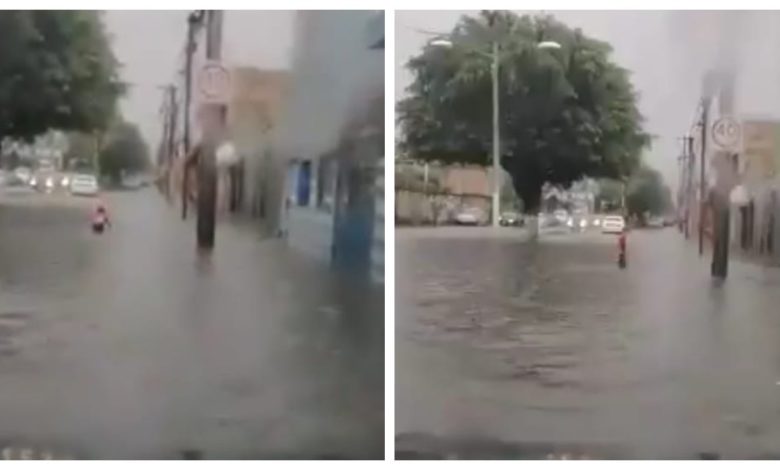 "Al mal tiempo buena cara": Captan a niño nadando en plena inundación (Video)