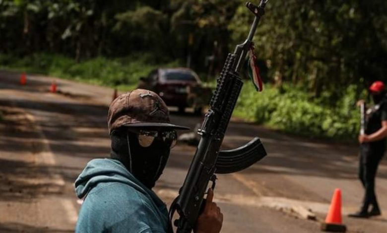 AMLO desconfía y critica formación de autodefensa de campesinos en Michoacán