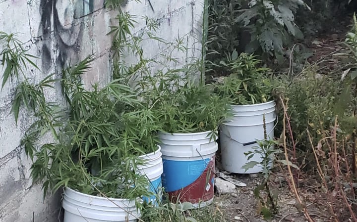 Cumplimenta la PFM cateo en Zacatelco