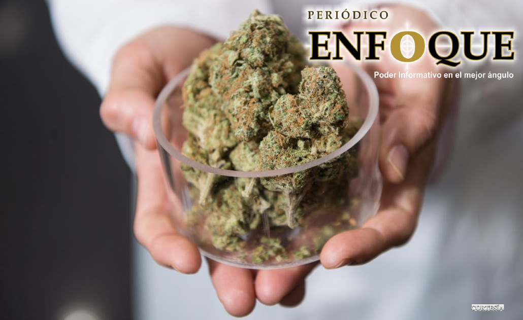 ¿Una persona puede morir por sobredosis de Marihuana?