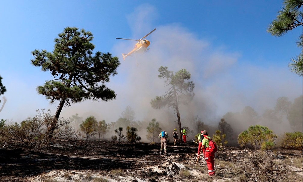 Tras 5 días de lucha, controlan un 70% incendio en Santiago, NL; 6 mil 15 hectáreas se afectaron
