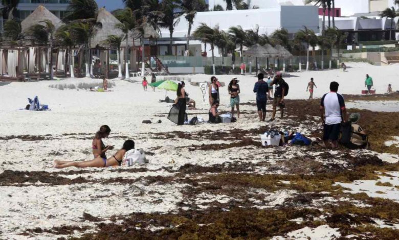 Llegada masiva de sargazo amenaza playas del Caribe mexicano