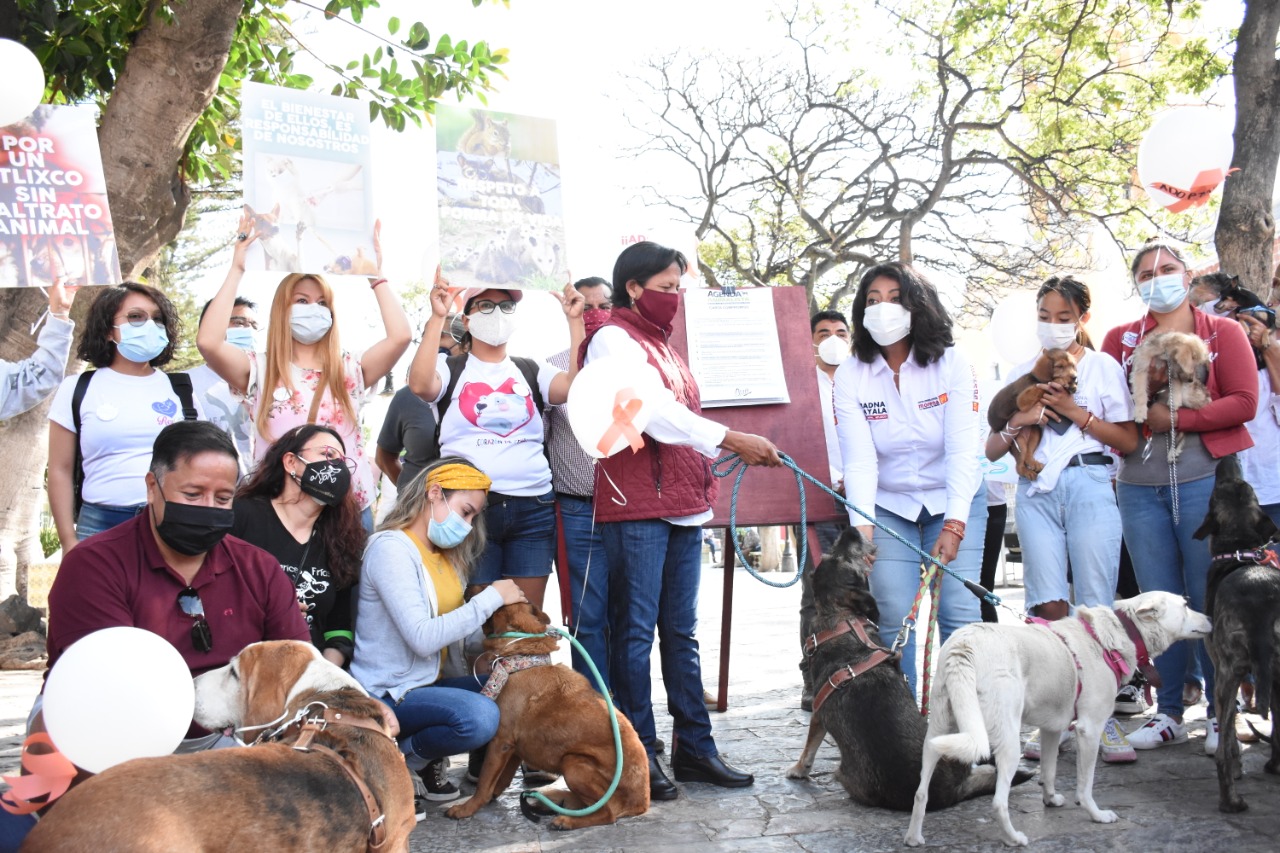Ariadna Ayala lucha por un Atlixco pionero en temas de Protección Animal