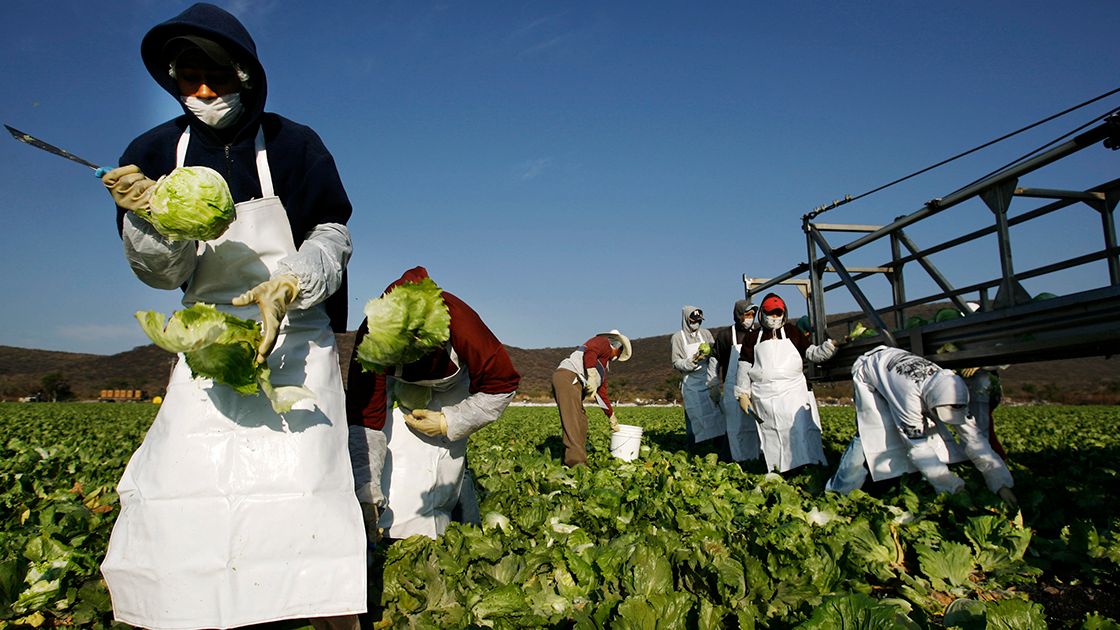 Investigación contra agroproductos inquieta a México; a EU, inversión en energía y política agropecuaria