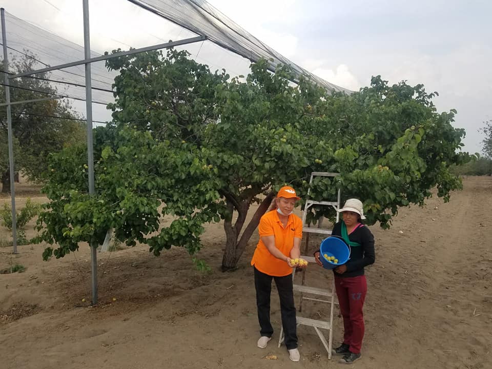 Esperanza González se compromete con los campesinos en Domingo Arenas 