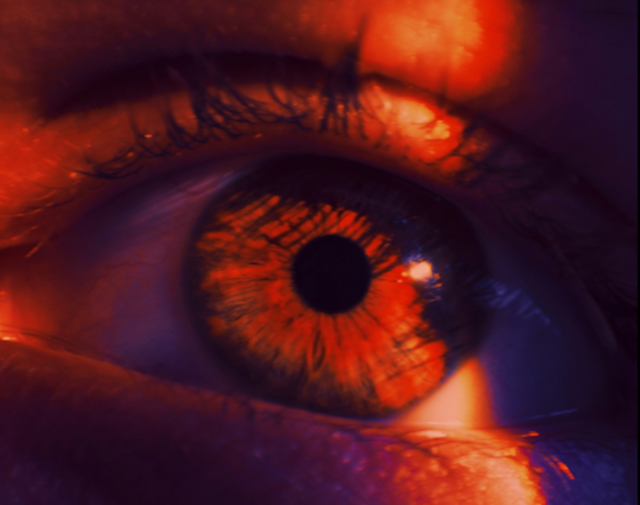 Un paciente ciego recupera la vista parcialmente con una novedosa terapia a base de algas 