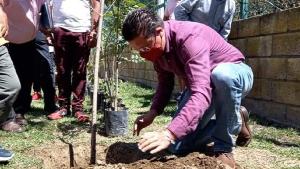 Julio Lorenzini, maneja como propuesta la posible reforestación de San Pedro Cholula