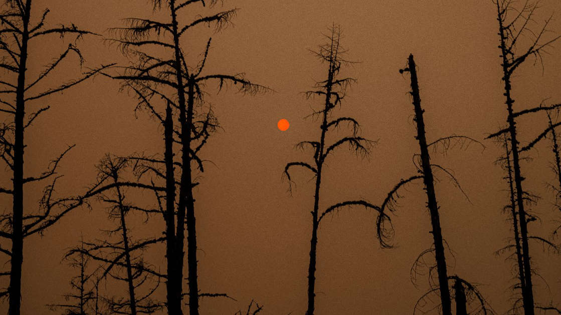 Vladimir Putin se preocupa por los desastres naturales en Rusia 