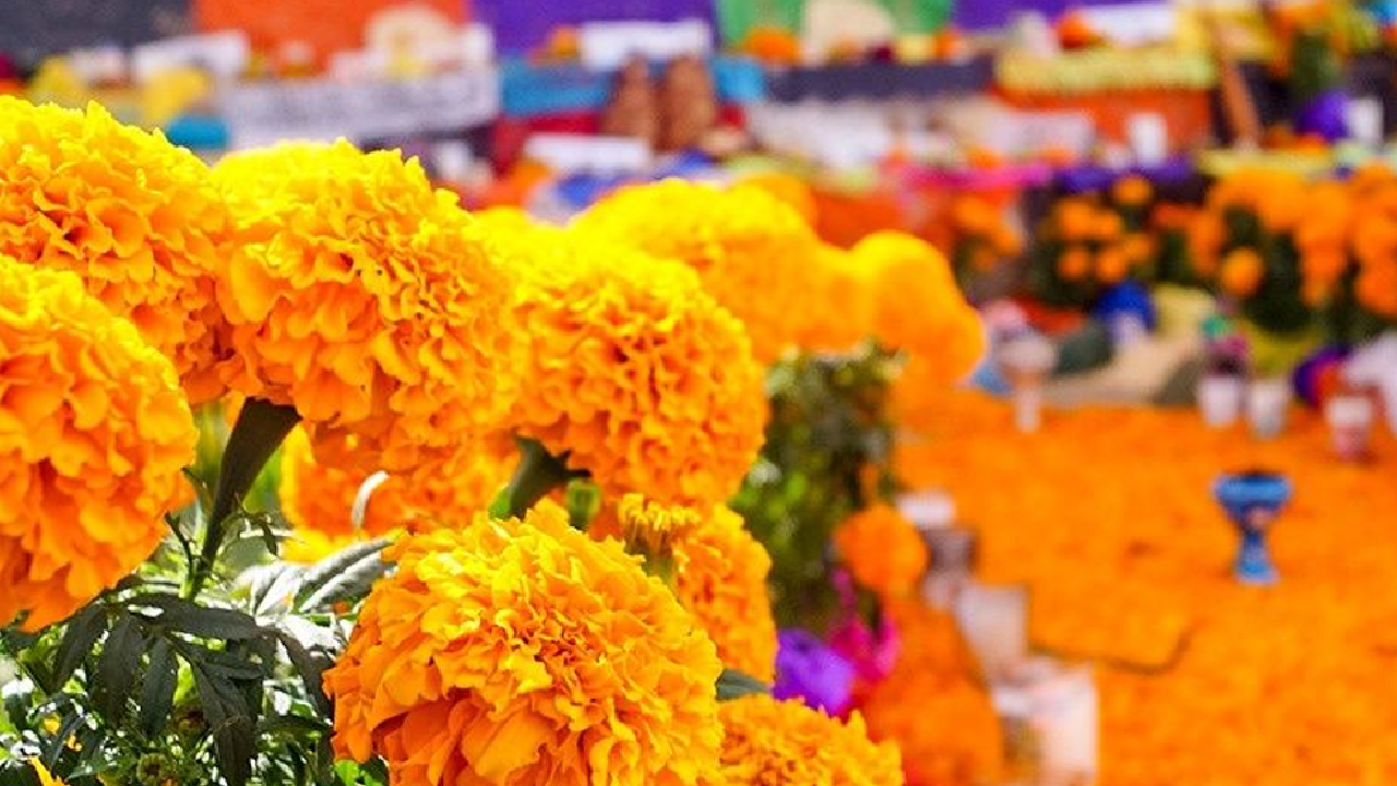 Reportan en Cuautlancingo “Saldo Blanco” de actos delictivos durante la jornada de “Todos Santos” 