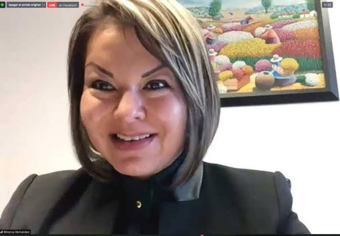 Minerva Hernández pide licencia al Senado