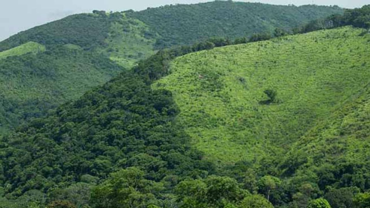 SCJN resuelve conflicto territorial entre Oaxaca y Chiapas, este último pierde un municipio