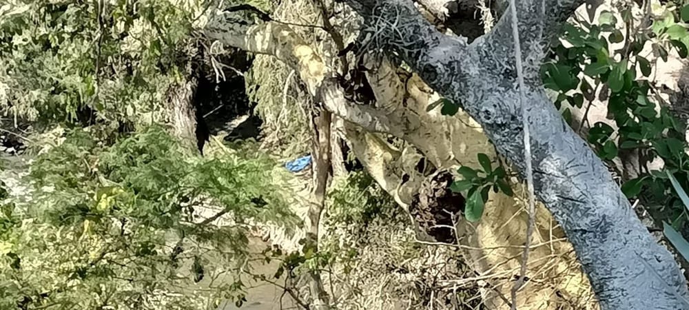 Hallan cadáver de mujer desaparecida; habría caído a una barranca en Izúcar de Matamoros