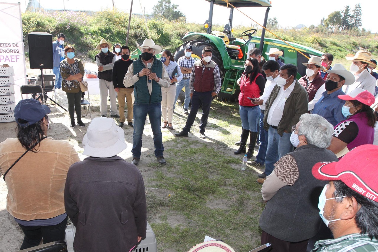 Continúa SEFOA con la entrega de apoyos agropecuarios