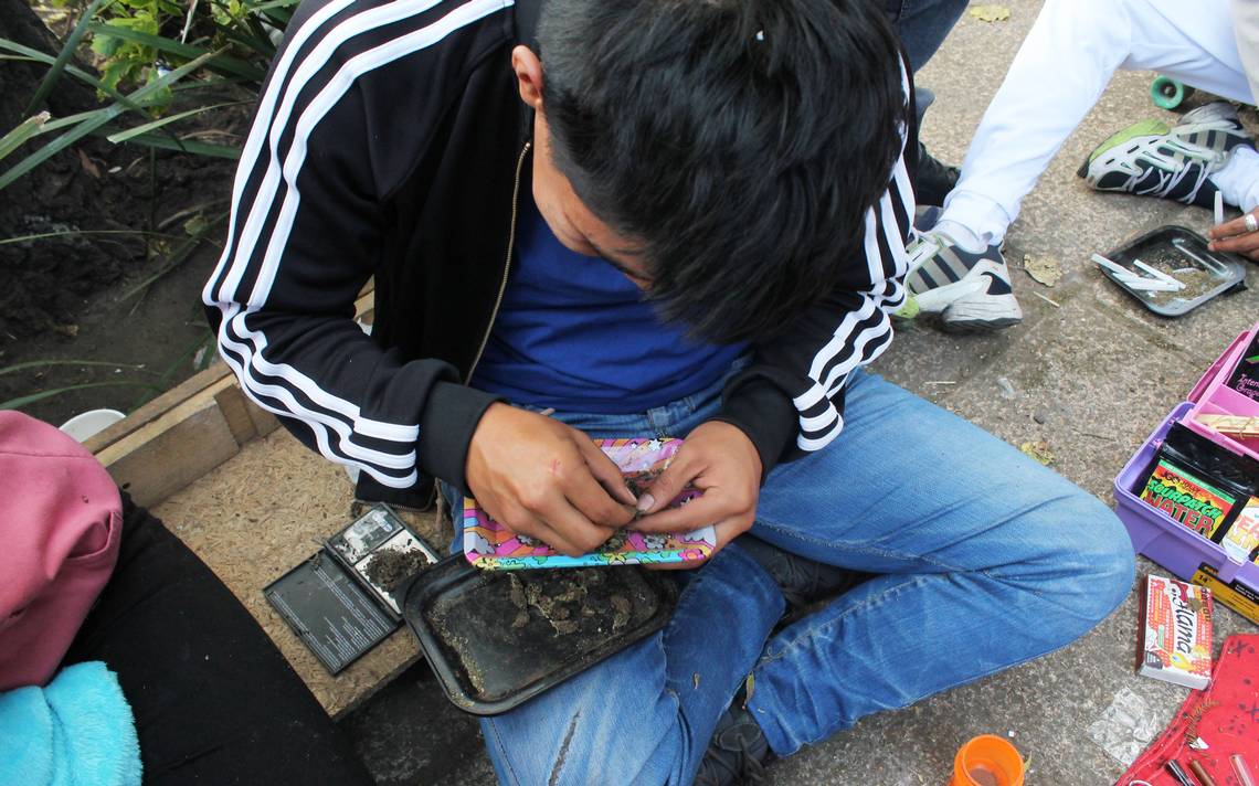 Pandemia incrementó el consumo de drogas en adolescentes y jóvenes en México