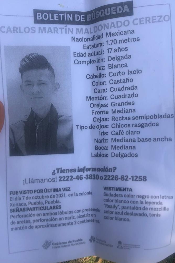 desaparecidobosques2