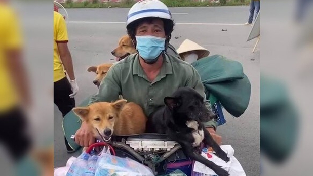 Pareja contrae covid y autoridades matan a sus 12 perros para evitar contagios