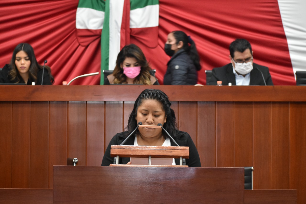 Que comunas elaboren presupuestos de egresos con perspectiva de género, propone Brenda Cecilia Villantes