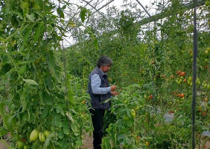 Piden protección para agricultor de Atlangatepec tras amenazas 