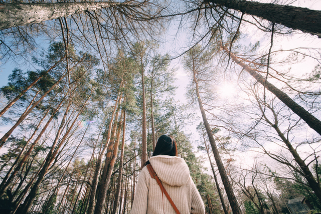 Por qué los árboles podrían frenar el número de muertes por cáncer en el mundo