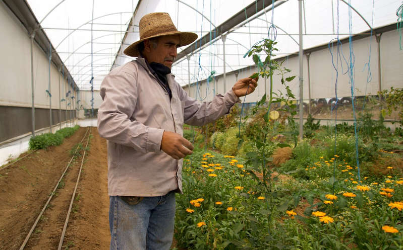 El presidente AMLO pide mil 425 mdd a Joe Biden para programas de la 4T en Centroamérica
