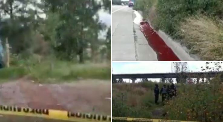 "Río de sangre llevo a su ubicación", Encuentran cadaver de mujer cerca del Estadio Cuauhtémoc