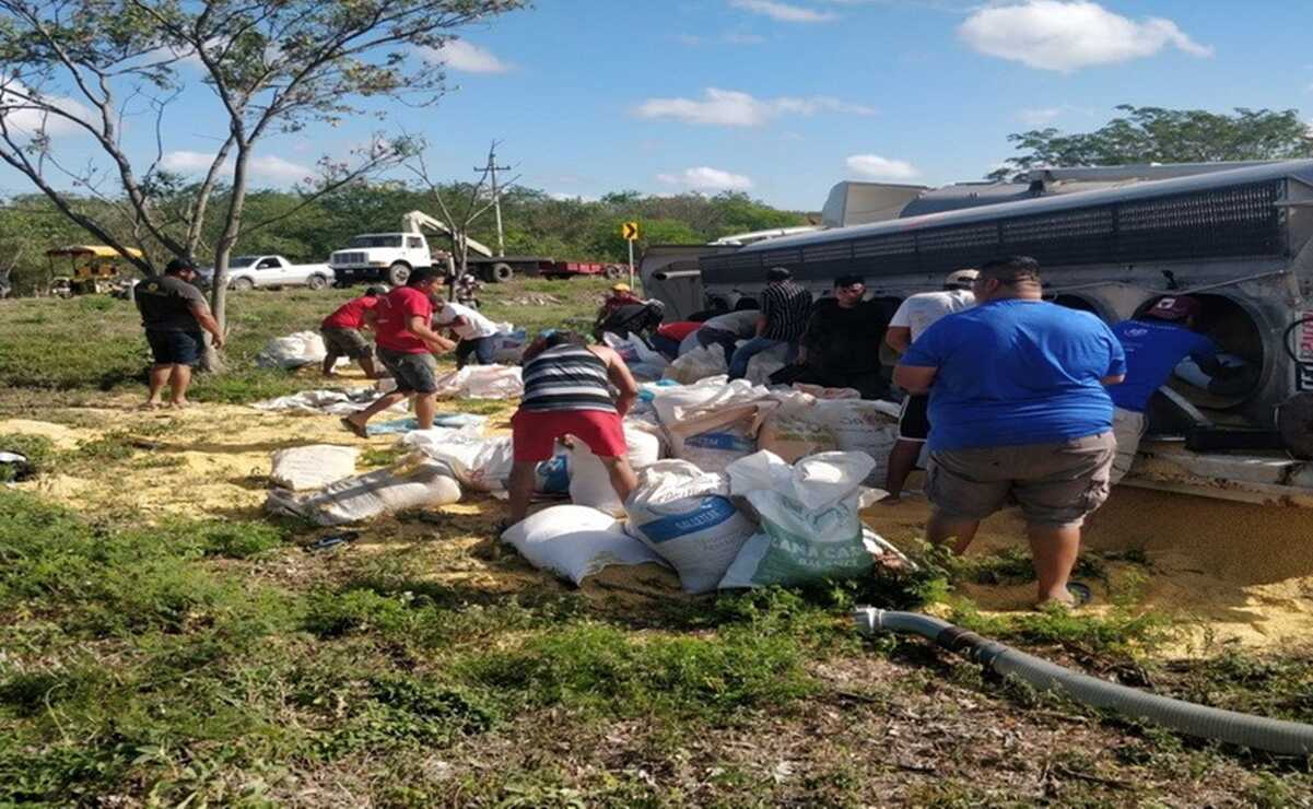 Tras accidente de tráiler con toneladas de comida para animales en carretera Mérida-Campeche, pobladores hacen rapiña