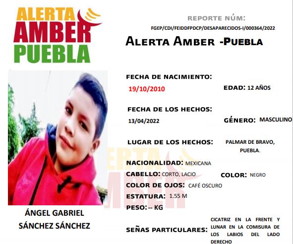 Se solicita apoyo para localizar a Ángel Gabriel Sánchez de 12 años, visto por última vez en Palmar de Bravo