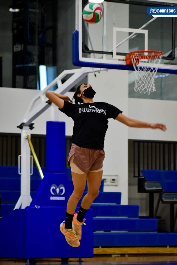 Borregos Puebla va por el Final Four 