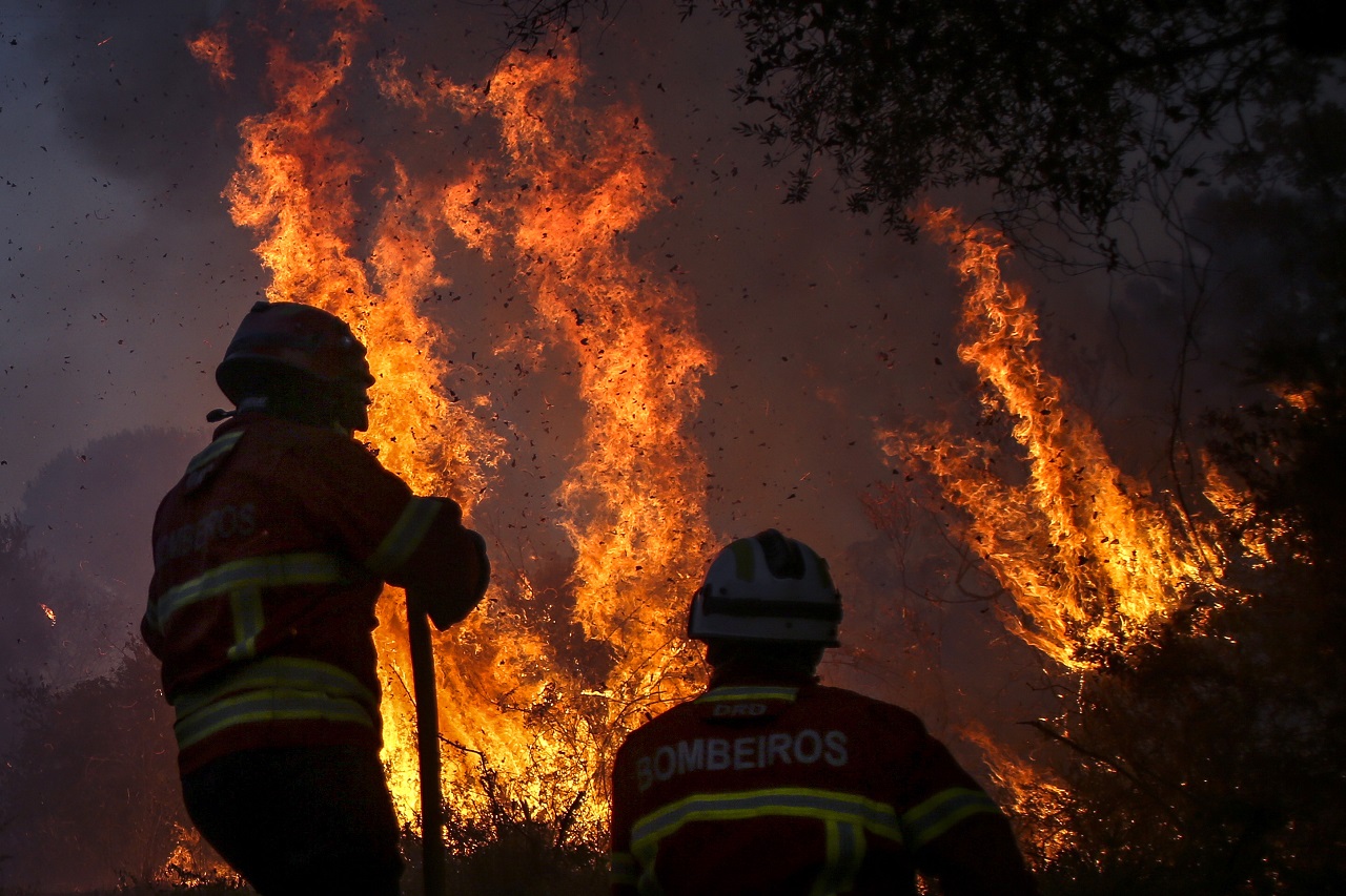 ¿Cómo se clasifican los incendios forestales y cuál es el tipo más destructivo?