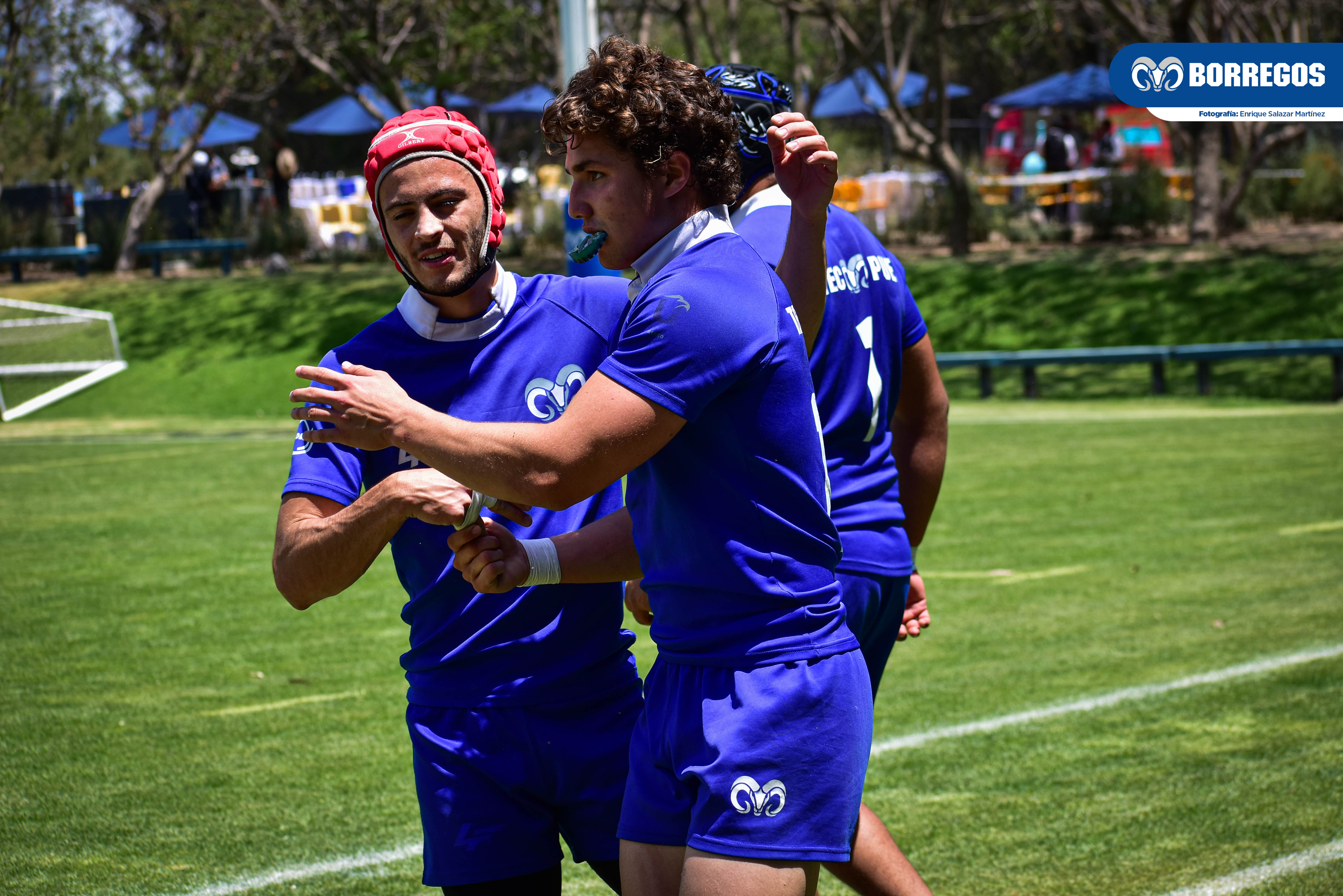 Pensando en el título, Borregos Puebla arranca el Nacional de Rugby 