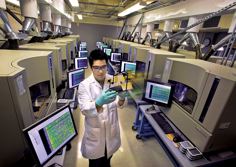 Más de 100 especialistas logran secuenciar genoma humano completo y revelan regiones del cuerpo ocultas 