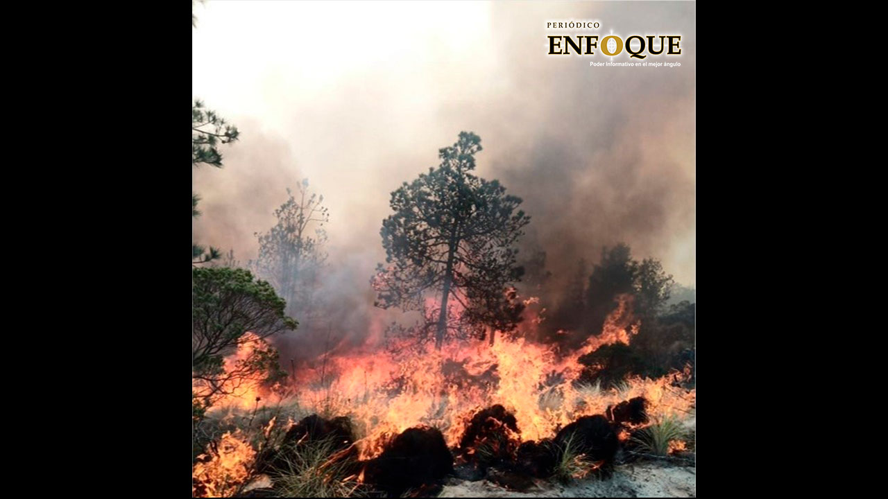 Municipios de la zona central del estado de Puebla en alerta por incendios forestales 