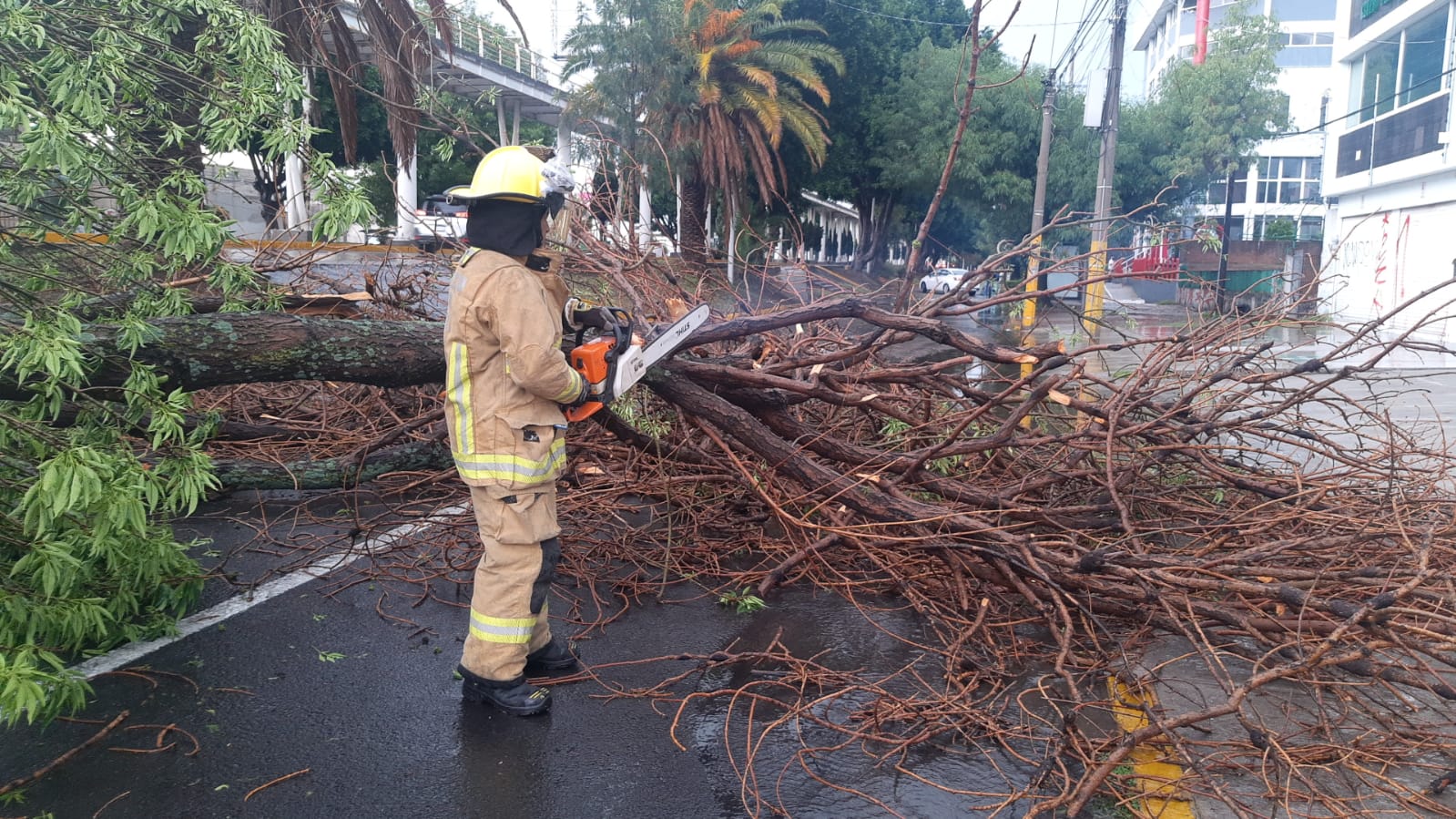 Recibe Protección Civil 47 llamadas de auxilio por lluvias