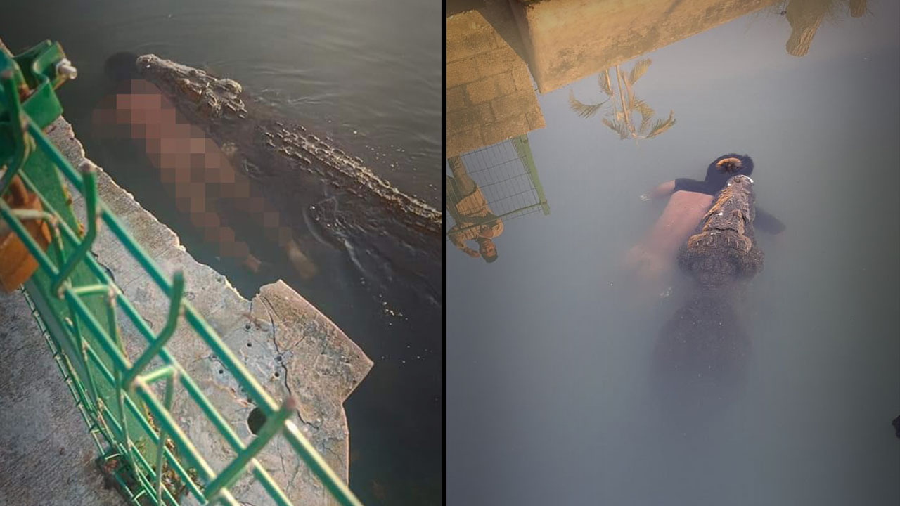 (VIDEO) Hombre se mete a "nadar" a Laguna del Carpintero en Tampico y muere al ser atacado por un cocodrilo