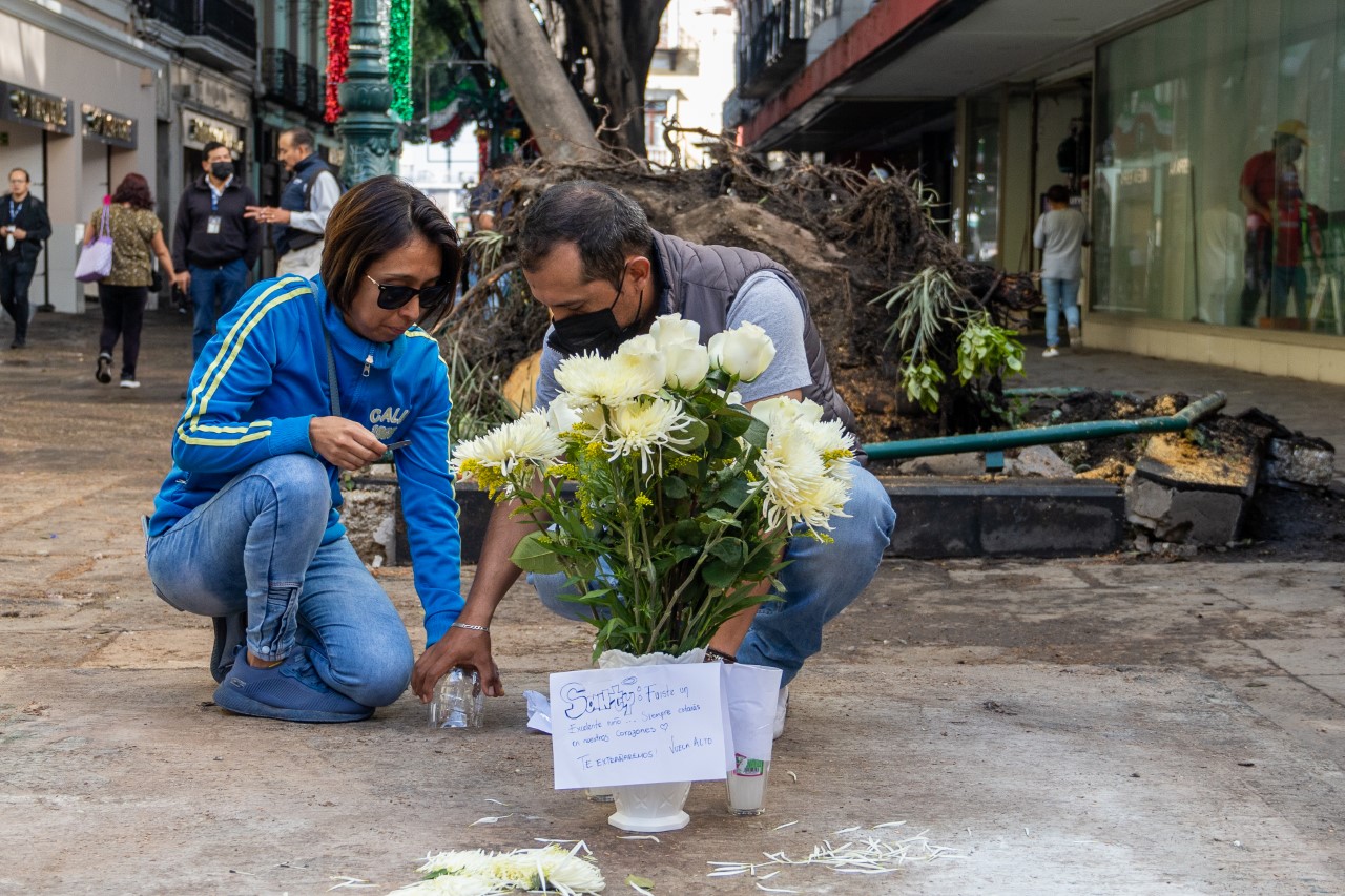 Se brindará apoyo a familia de menor fallecido por caída de árbol en la 5 de mayo: Eduardo Rivera