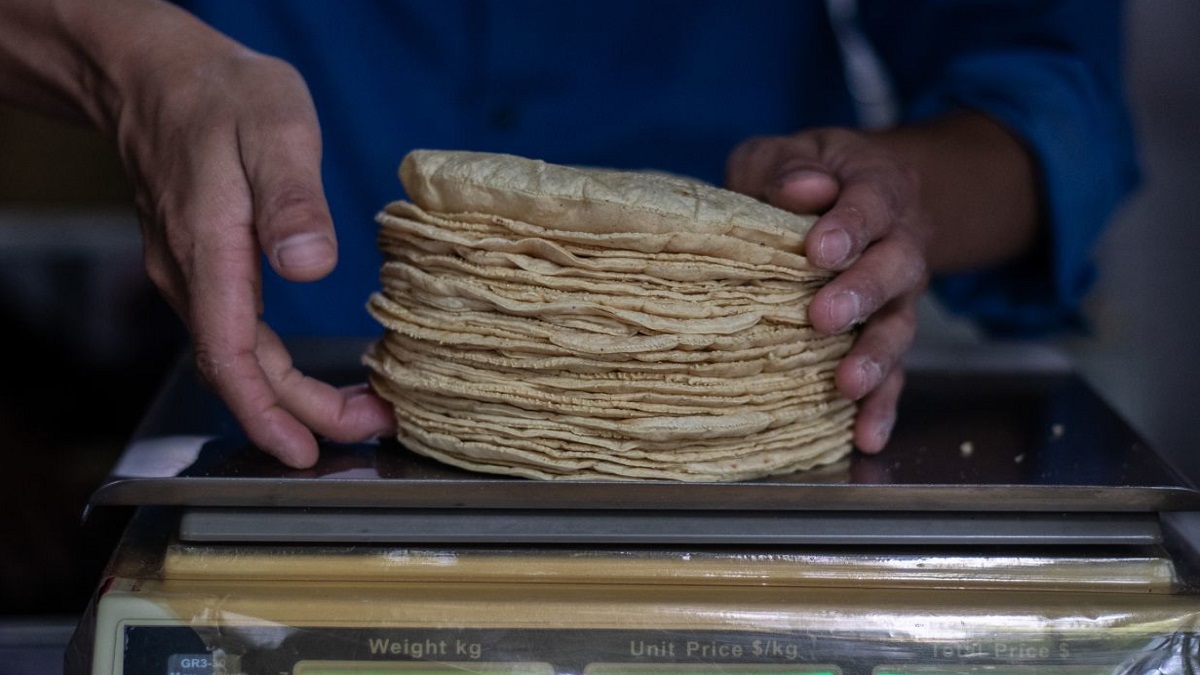 A causa de la inflación comienzan a surgir tortillas piratas; aquí te decimos cómo identificarlas