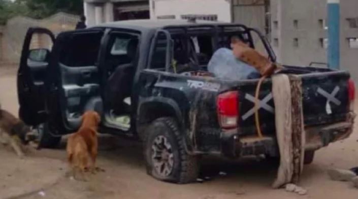 Enfrentamiento entre sicarios en los límites de Baja California  y Sonora dejó al menos ocho muertos