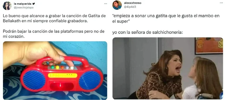 memes gatita2