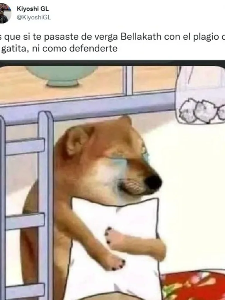 memes gatita3