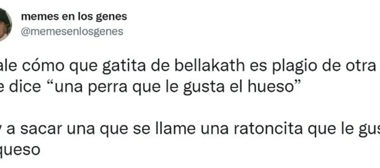 memes gatita4