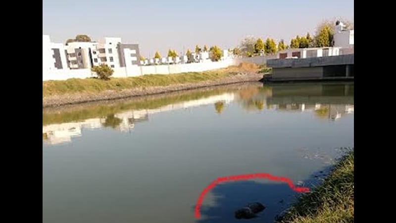 Localizan el cadaver de una persona flotando en planta de tratamiento de Huejotzingo
