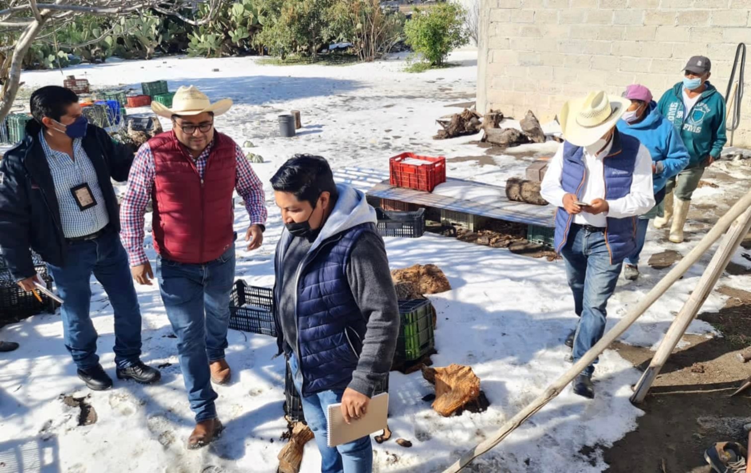 Indemnizará gobierno a campesinos afectados por granizada en Acatzingo 